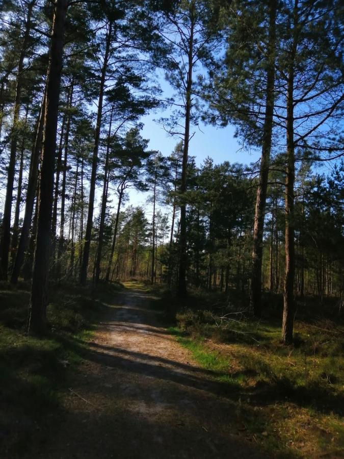 Domek Na Lesnej โปกอร์เชลีจา ภายนอก รูปภาพ